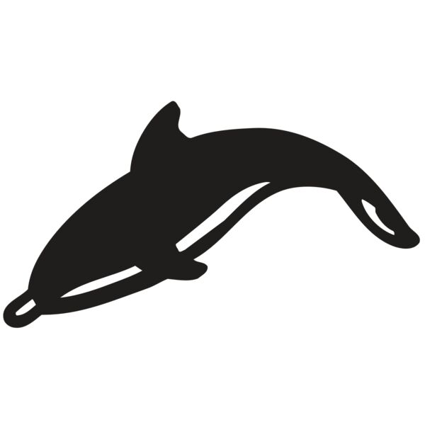 AR DOLPIN 16 RC Thumbnail